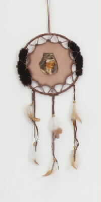 Indian Head On Leather Shield