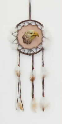 Eagle Head Leather Shield