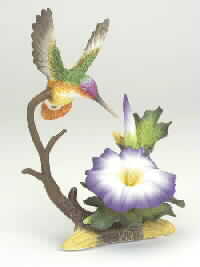 Hummingbird & Morning Glory
